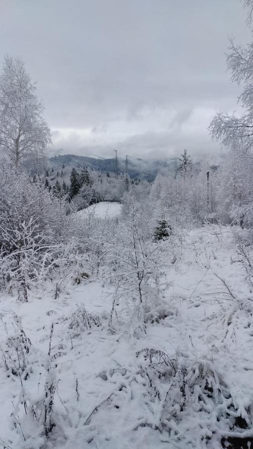 Zacharovany Karpaty Slavske Exterior foto